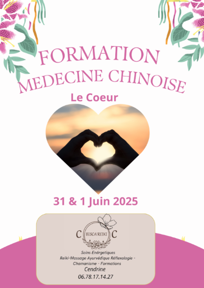 Formationmedecine chinoise le coeur 2